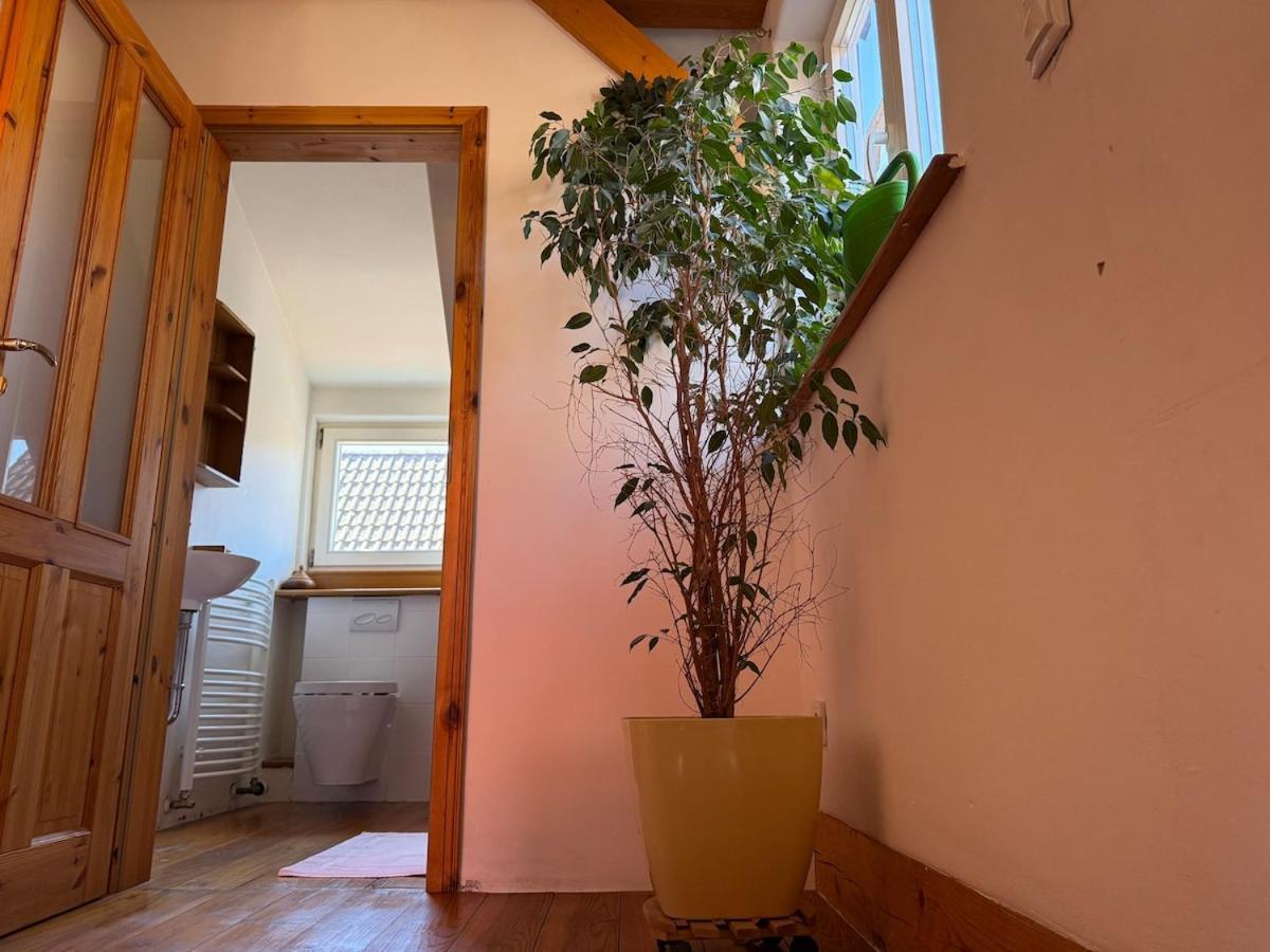 Bella Haus Close To Frankfurt Messe Dreieich Εξωτερικό φωτογραφία