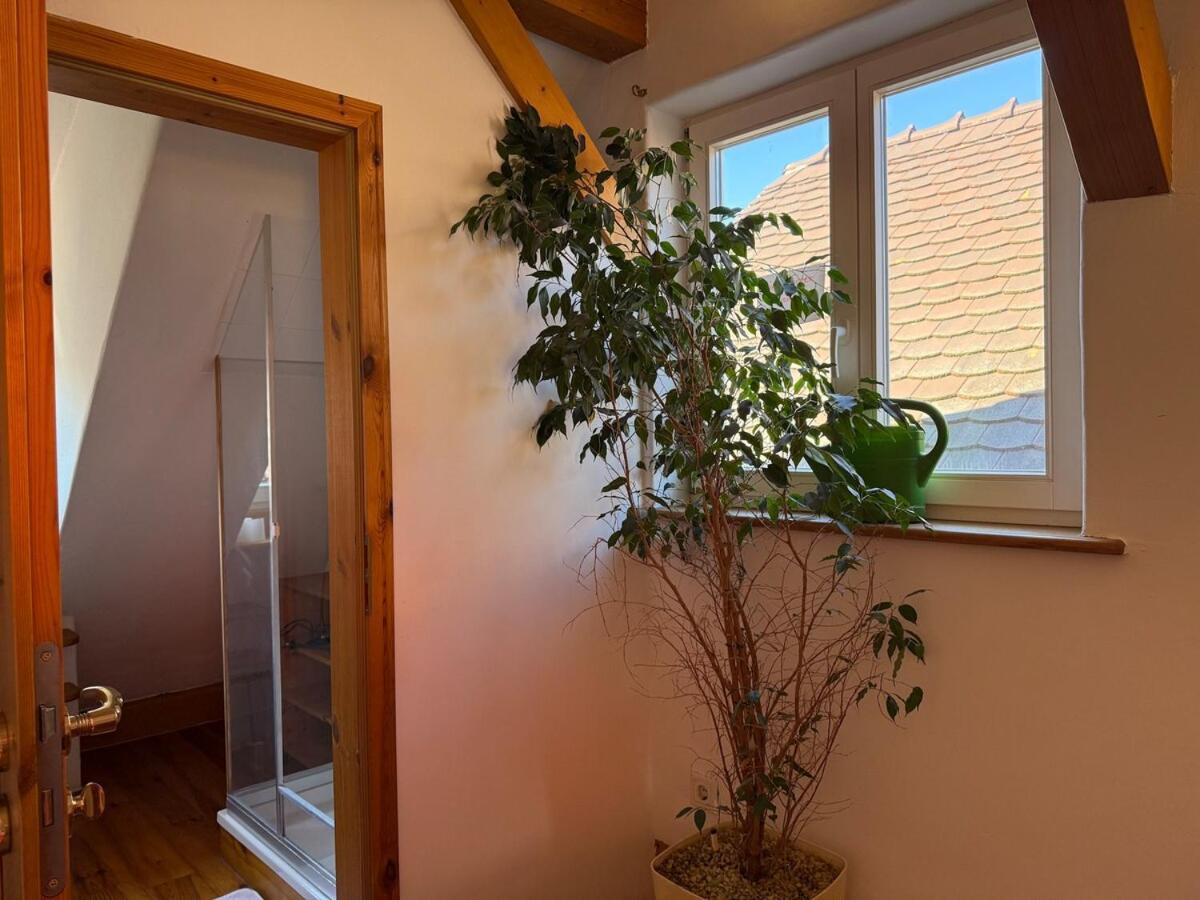 Bella Haus Close To Frankfurt Messe Dreieich Εξωτερικό φωτογραφία