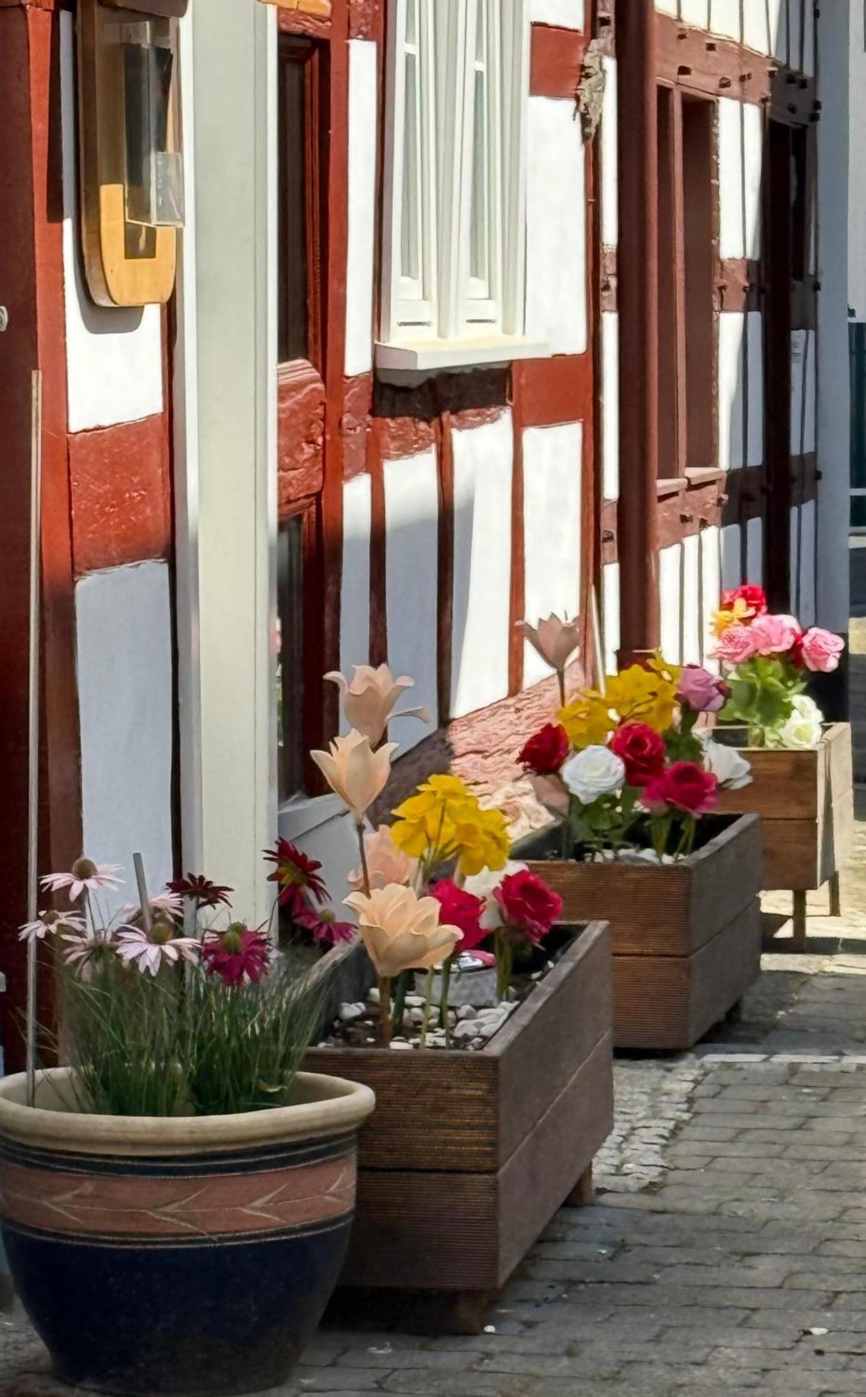 Bella Haus Close To Frankfurt Messe Dreieich Εξωτερικό φωτογραφία
